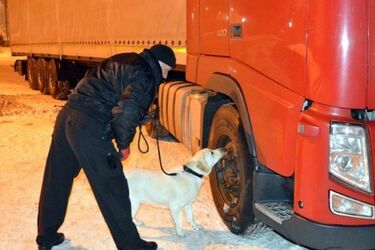 Kontrabanda kołem się toczy