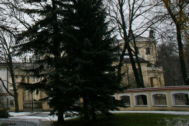 W weekend termometry wskażą 0°C