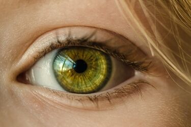 Można zadbać o swoje oczy. Okazją do tego jest akcja Wielkie Badanie Wzroku