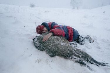 Srebrny Niedźwiedź za "Pokot". Film Agnieszki Holland w kinach [WIDEO]