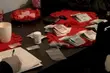 Amfetamina, ecstasy i podziemna plantacja. Policjanci rozbili grupę przestępczą [WIDEO]