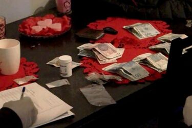 Amfetamina, ecstasy i podziemna plantacja. Policjanci rozbili grupę przestępczą [WIDEO]