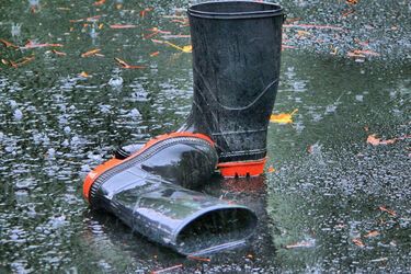 Marzec wita nas opadami deszczu