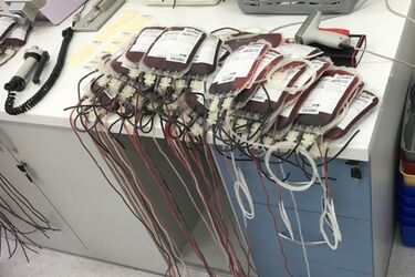 "SpoKREWnieni służbą". Krew oddają podlascy policjanci, strażacy i strażnicy graniczni