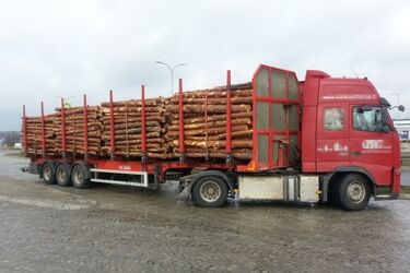 Inspektorzy skontrolowali ciężarówki i wlepili mandaty. Będą kontynuować działania