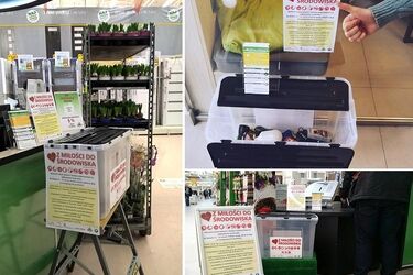 Eko nie tylko w walentynki. Akcja zakończyła się sukcesem