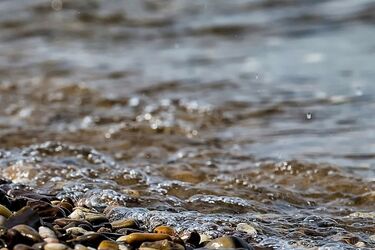 Poszukiwania 35-latka nie przynoszą efektów. Strażacy przeszukują rzekę