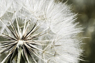 Będzie pochmurno i wietrznie