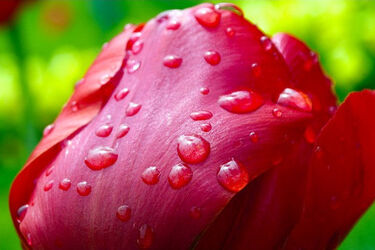 Synoptycy zapowiadają w weekend opady deszczu i zachmurzenia