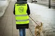 Schronisko dla zwierząt szuka wolontariuszy