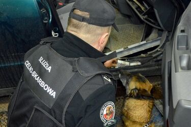 Wpadka na "zielonym pasie"