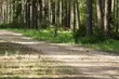 Znaleziono 2 niewybuchy