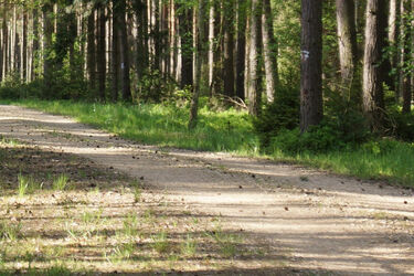 Znaleziono 2 niewybuchy