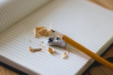 Sieć szkół uchwalona. Rekrutacje wystartują w następnym tygodniu