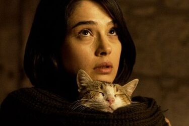 Specjalny pokaz w kinie Forum. Będzie też prelekcja [WIDEO]