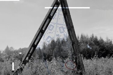 Tajemnicze miejsce w puszczy. Fotograficzna wyprawa