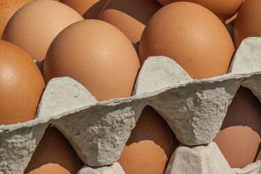 Bojary. Afera z wytłaczanką jajek i sushi w tle