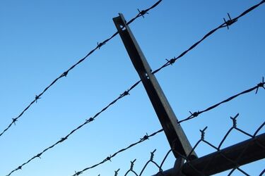 Jeden z oskarżonych o wspieranie ISIS wyszedł na wolność. Nie wróci już do aresztu