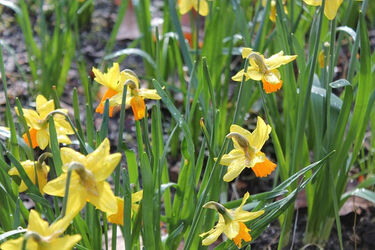 Świąteczne dni będą deszczowe i chłodne