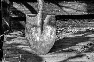 Zaparkowała przed jego bramą wjazdową, więc wymierzył sprawiedliwość