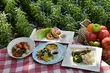 Będą warsztaty, pikniki, szkolenia. Podlaskie organizacje z dotacją