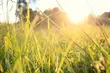 Zapowiadane jest dużo słońca, ale i niska temperatura