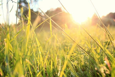 Zapowiadane jest dużo słońca, ale i niska temperatura