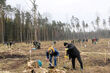 Wspólne sadzenie lasu w Puszczy Białowieskiej 