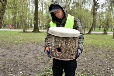 Zainstalowano nowe mieszkanka - dla wiewiórek