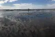 Warto spędzić czas aktywnie i blisko przyrody. Godziny otwarcia parków narodowych