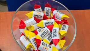 Rusza kolejna edycja Budżetu Obywatelskiego. Już można składać projekty