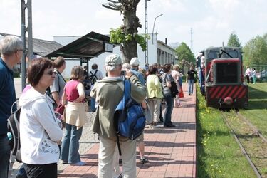 Kolejka leśna w Puszczy Białowieskiej. W majówkę przewiozła ponad tysiąc turystów