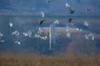 Magia, natura, bujna roślinność. Kino Konesera [WIDEO]