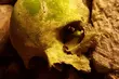 Szczątki, łuski i pocisk. Koniec prac archeologicznych w Bielsku Podlaskim