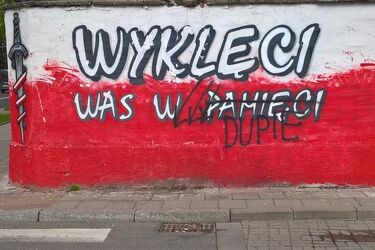 Kolejny mural zniszczony i to nie pierwszy raz. "Wandalizm i prymitywizm"