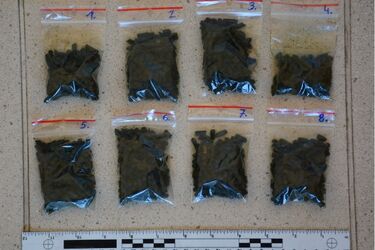 Metamfetamina na przejściu granicznym