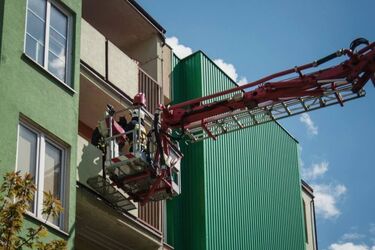 Strażacy ochotnicy oddali kota właścicielowi