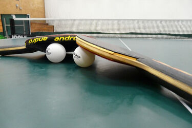 1,6 mln zł do podziału. Można uzyskać dotację nawet do 70% kosztów przedsięwzięcia