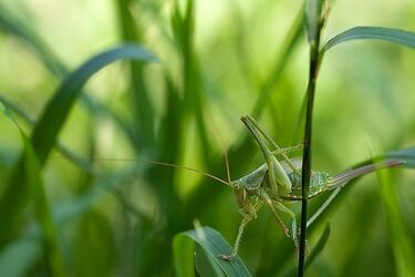 Spodziewane są duże zachmurzenia