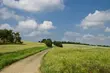 Będzie ciepło, ale i pochmurnie