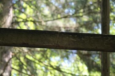 Do tragedii niewiele trzeba. Nieznani sprawcy podcięli szczebel myśliwskiej ambony