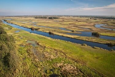Biebrzański Park Narodowy proponuje dzierżawę blisko 600 hektarów łąk