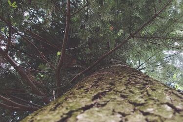 Zaginął 35-latek. Policjanci i strażacy prowadzą akcję poszukiwawczą