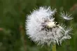 Słońce, zachmurzenia i możliwy deszcz