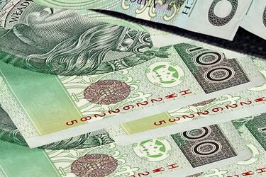 Oszukali państwo na co najmniej 900 tys. zł