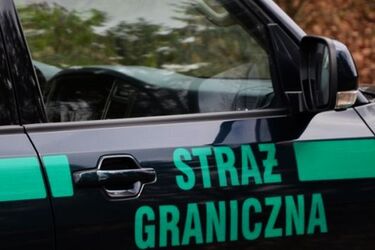 Kubańczycy z Litwy przyłapani przez podlaskich strażników granicznych