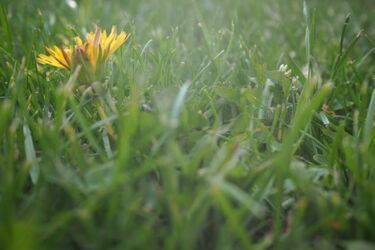 W weekend upałów nie będzie