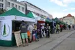 Festyn ekologiczny. Na Rynku Kościuszki staną stoiska