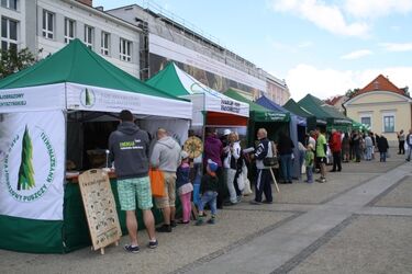 Festyn ekologiczny. Na Rynku Kościuszki staną stoiska
