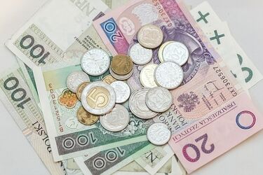 SKOK Nike zawiesiła działalność. Przy Białówny już nic nie załatwimy